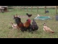 La Jeune G N Ration S Installe En Agriculture images La Jeune G N Ration S Installe En Agriculture