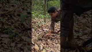 Ular Ini Suatu Hari Nanti Bisa Memakan Mia