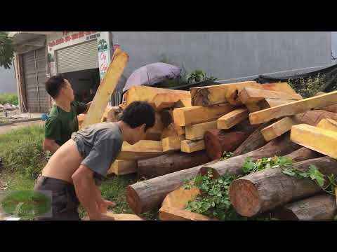 Gỗ mít ta đặc điểm, tính năng, công dụng và giá cả mua bán - Kho mít ta lớn tại Bắc Giang