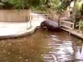 Foto pequena Zoo Praha hro