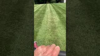 Mowing lawns is a drug. #shorts #fyp #video #mowing #landscaping