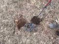 Описание отсутствует.