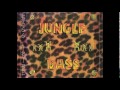 Bass Tribe - This is not a test (It's a jungle)