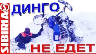 Зимняя резина r16 205 60 кумхо