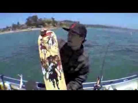 Eman's Santa Cruz graphics.mov