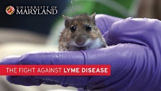 The Fight Against Lyme Disease | UMD