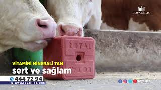 Hayvanların Et ve Süt Verimini Arttıran Etkili Yalama Blokları / Royal İlaç