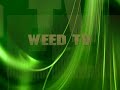 Cannabis Butter ( Cannabutter )