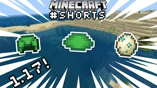How To Get Turtle Scutes In Minecraft 1.19