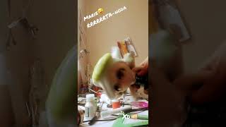 Marie Plush Punch