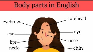 Body Parts Vocabulary