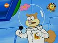 squarepants