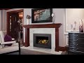 2020 Napoleon Oakville™ Series Gas Fireplace Inserts