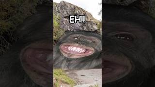 Monkey Sees Magic Trick And Loses It