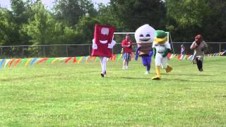 2015 Book'n It Run Mascot Race