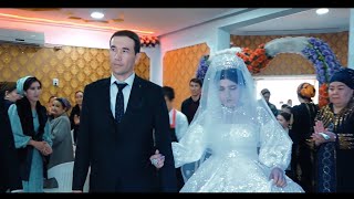 Polat & Farida 2-Toy
