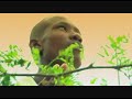 New World Order - Queen Ifrica & Steele