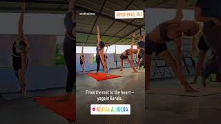Yoga Teacher Course In India
