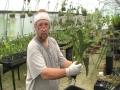 The Orchid Doctor - How to Replant an Orchid Part 2 - orchidmania south florida