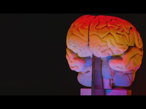 Out of Mind