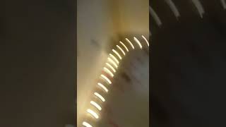 Evlilik Yıl Dönümü Sürprizi