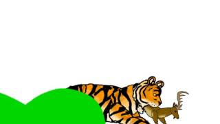 Tiger Vore
