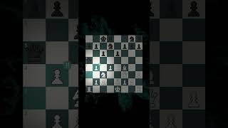 zJW87lZOeTw Video Image