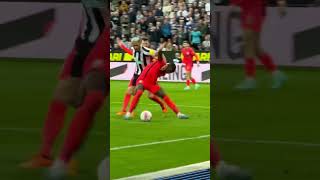 zJkL93-wCZU Video Image