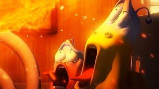 LARVA - FORTUNE COOKIE | 2017 Full Movie Cartoon | Cartoons For Children | Kids TV Shows