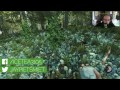 THE FOREST # 44 - Auf der Jagd «» Let's Play The Forest | HD