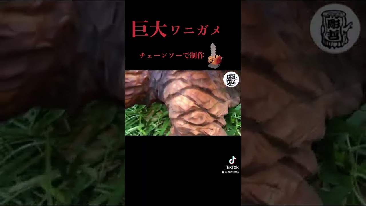 チェーンソーで巨大カワニガメ作る!#shorts #carving #ワニガメ #alligators