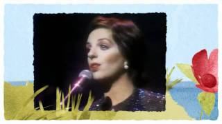 Watch Liza Minnelli You Are The Sunshine Of My Life video