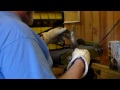 Part 5 Cleaning metal Of Saw Blade Knife