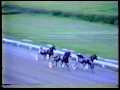 Sackville Downs Track Records 1986