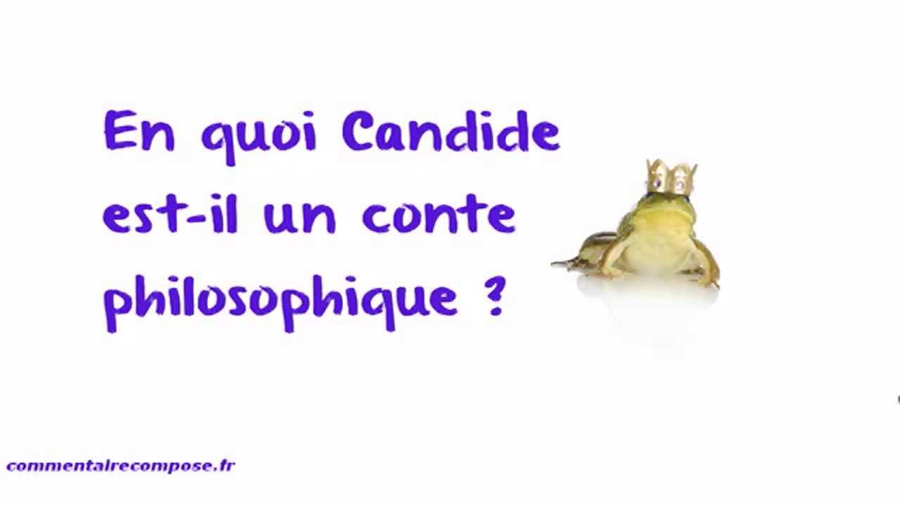 Dissertation conte philosophique candide
