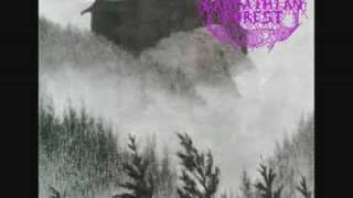 Watch Carpathian Forest When Thousand Moon Have Circled video