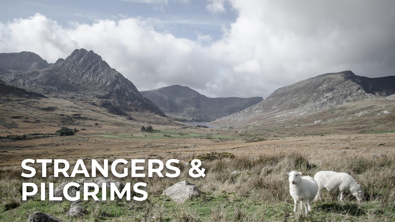 Strangers & Pilgrims | Pastor Tracy Noel