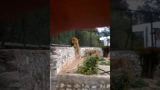 zKgHtGhyuFw Video Image