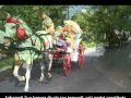 CAI SI TRASURI DE INCHIRIAT SI DE VANZARE