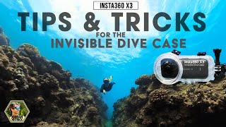 Insta360 X3 Invisible Dive Case Tips & Tricks | Best Settings