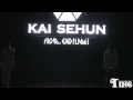 [HD]120401 EXO China Showcase - Run & Gun Sehun focus