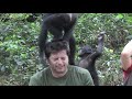 Web exclusive: Bonobos cause issues for the crew - Monkey Planet - BBC One