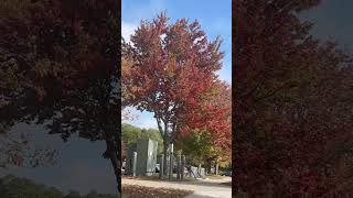 How To Know When Is Fall