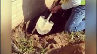 keep share and must watching america its not easy to make money khende sada punjabi boys
