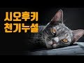 섹스테크닉교과서시리즈 - 시오후키 사정 조작폭로외 메카니즘들