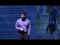 Canine Connections : Mike Dowling at TEDxNapaValley