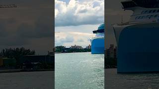 Icon Of The Seas