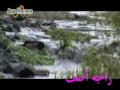 bukhsh