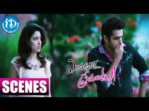 Endukante Premanta Movie Scenes - Tamanna Requesting Ram To Take Her to India