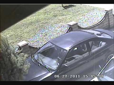 Acura Riverside on Clay County Crime Watch  Car Stolen After Keys Dropped In Driveway